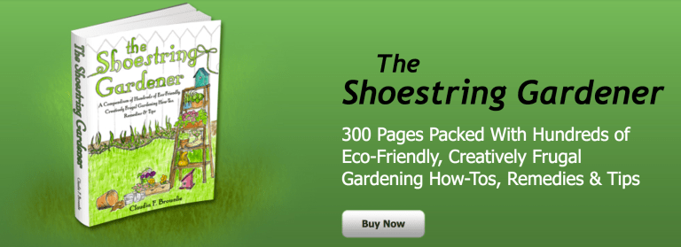 Screen Shot 2017-08-09 at 7.26.46 PM